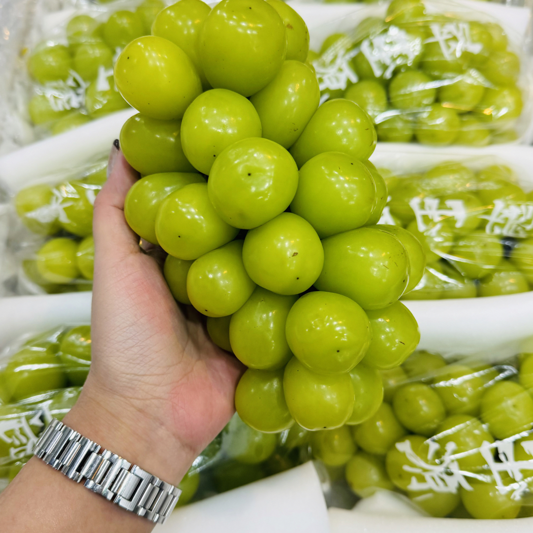 晴王葡萄2串净3-4斤