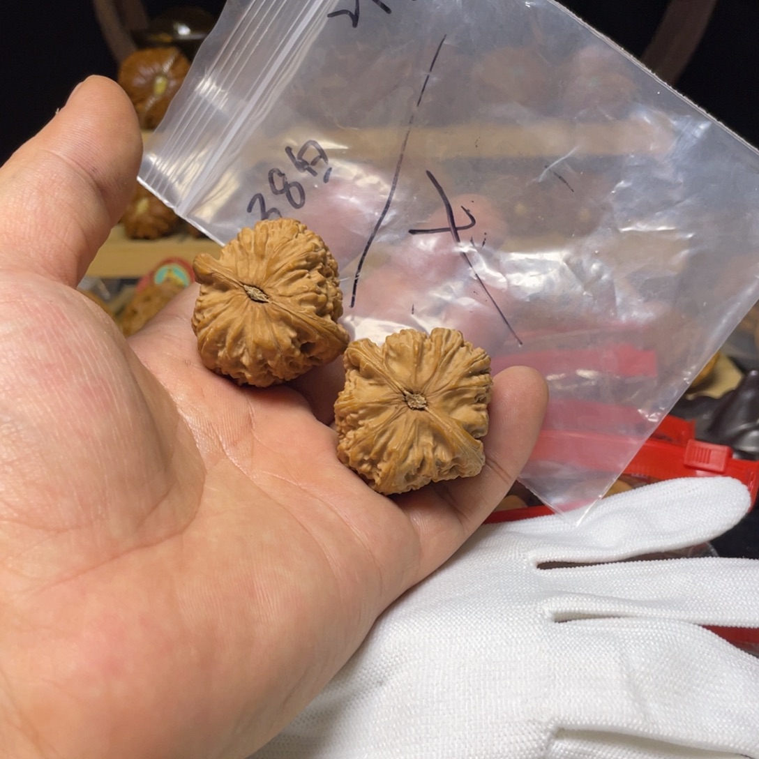 y***凯把件文玩核桃白狮子