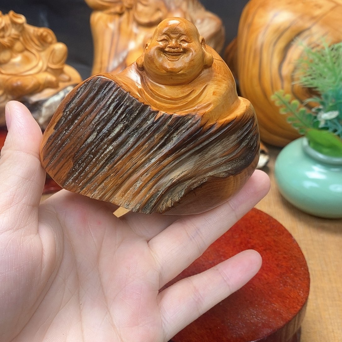 柏木（崖柏）一物一图