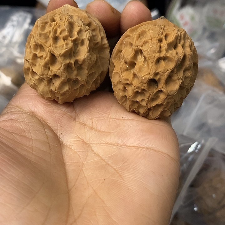 核桃云南铁核桃基地73