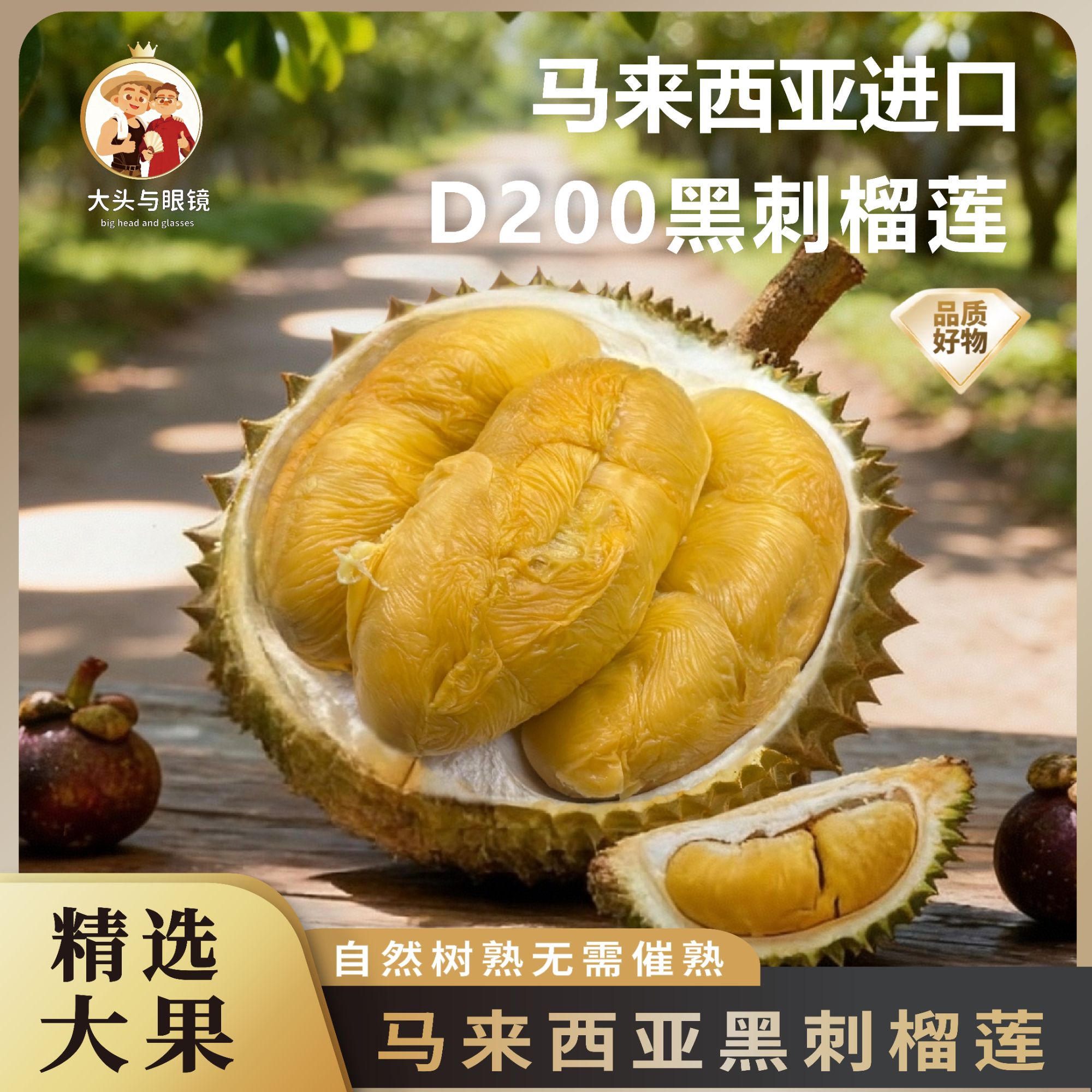 【镜头甄选】马来西亚黑刺D200榴莲 液氮锁鲜 *1颗