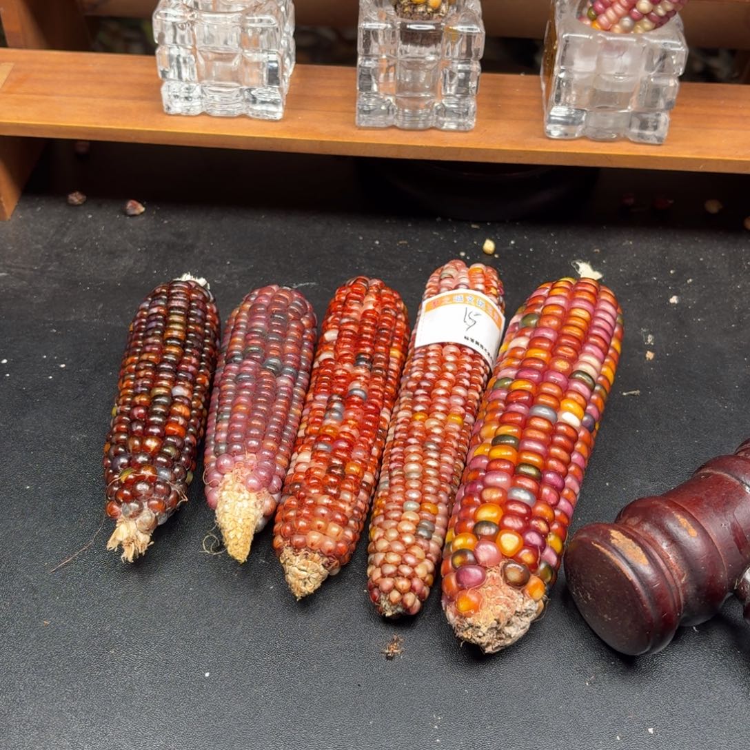 瑾***$银S925七彩宝石文玩玉米