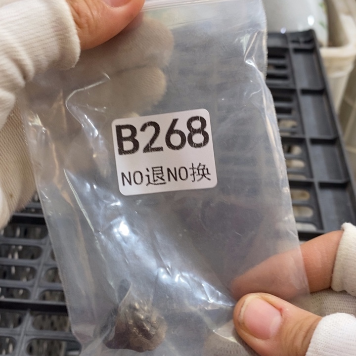 大***勋无纺布家具摆件家具摆件