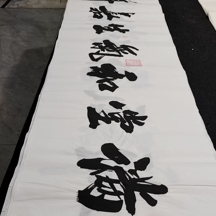 翰墨申国栋老师作品