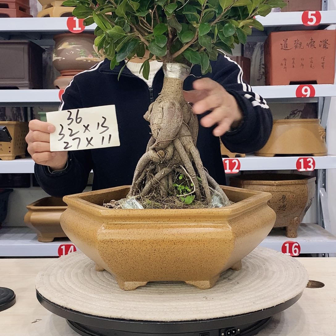 紫砂花盆紫砂艺术
