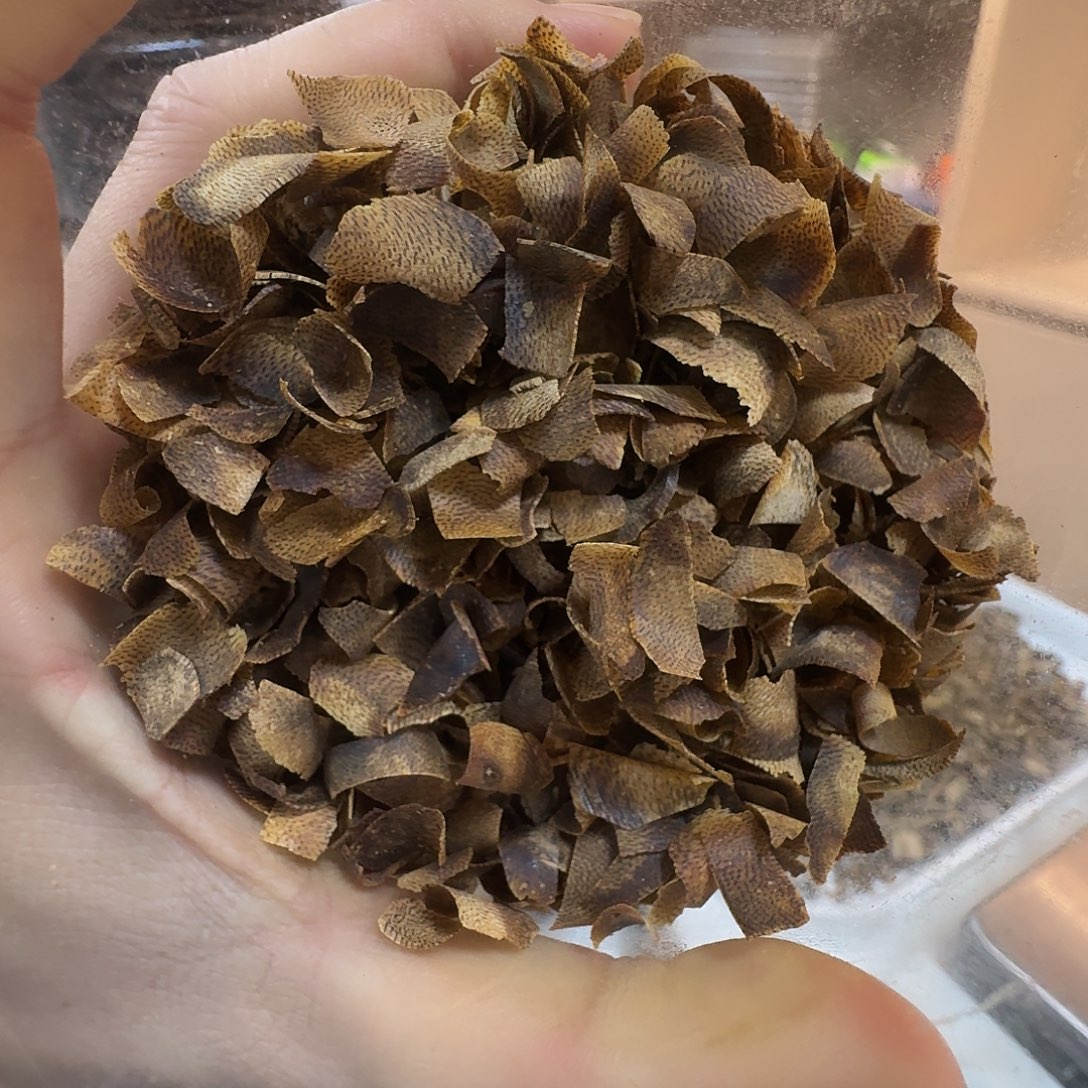 陆河切片煲汤泡水用品