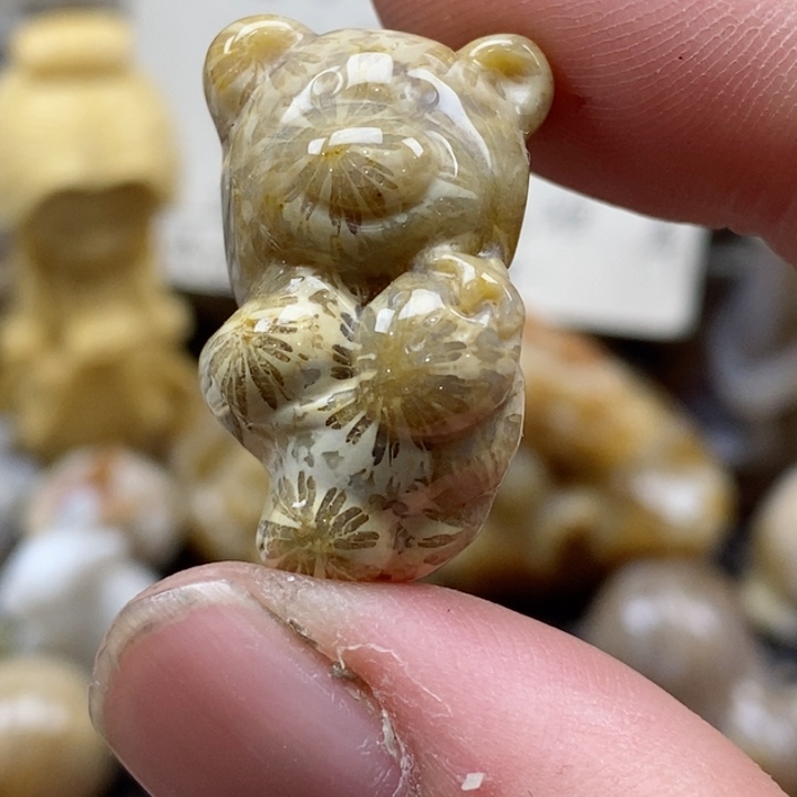 颈饰未镶嵌硅化珊瑚（珊瑚玉）小