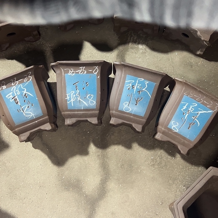 这是真实真实在的真实 