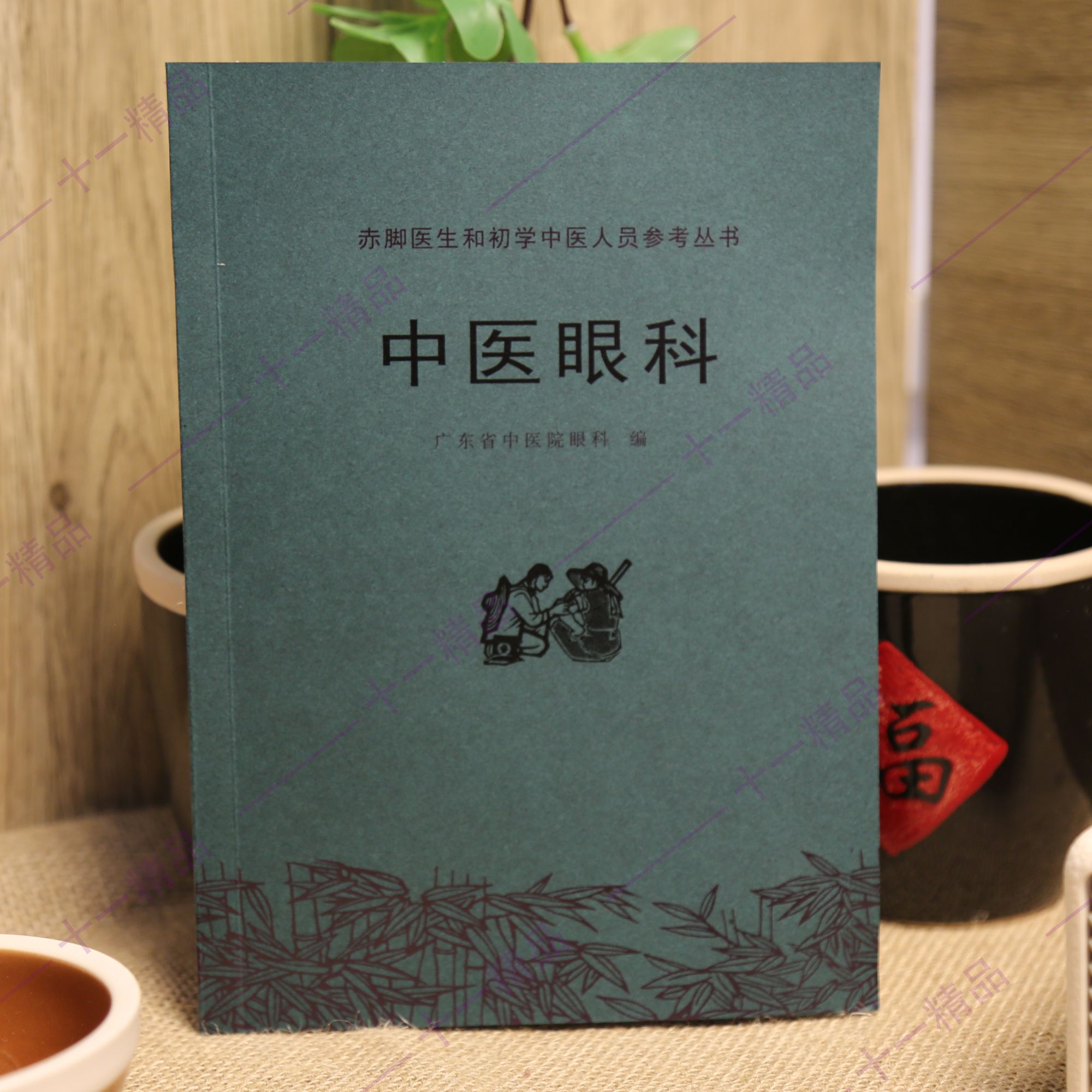 《中医眼科》广东省中医眼科 编  中医经典