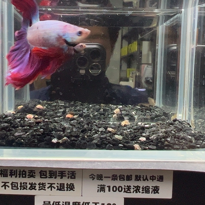 斗鱼跑單拉黑25日60