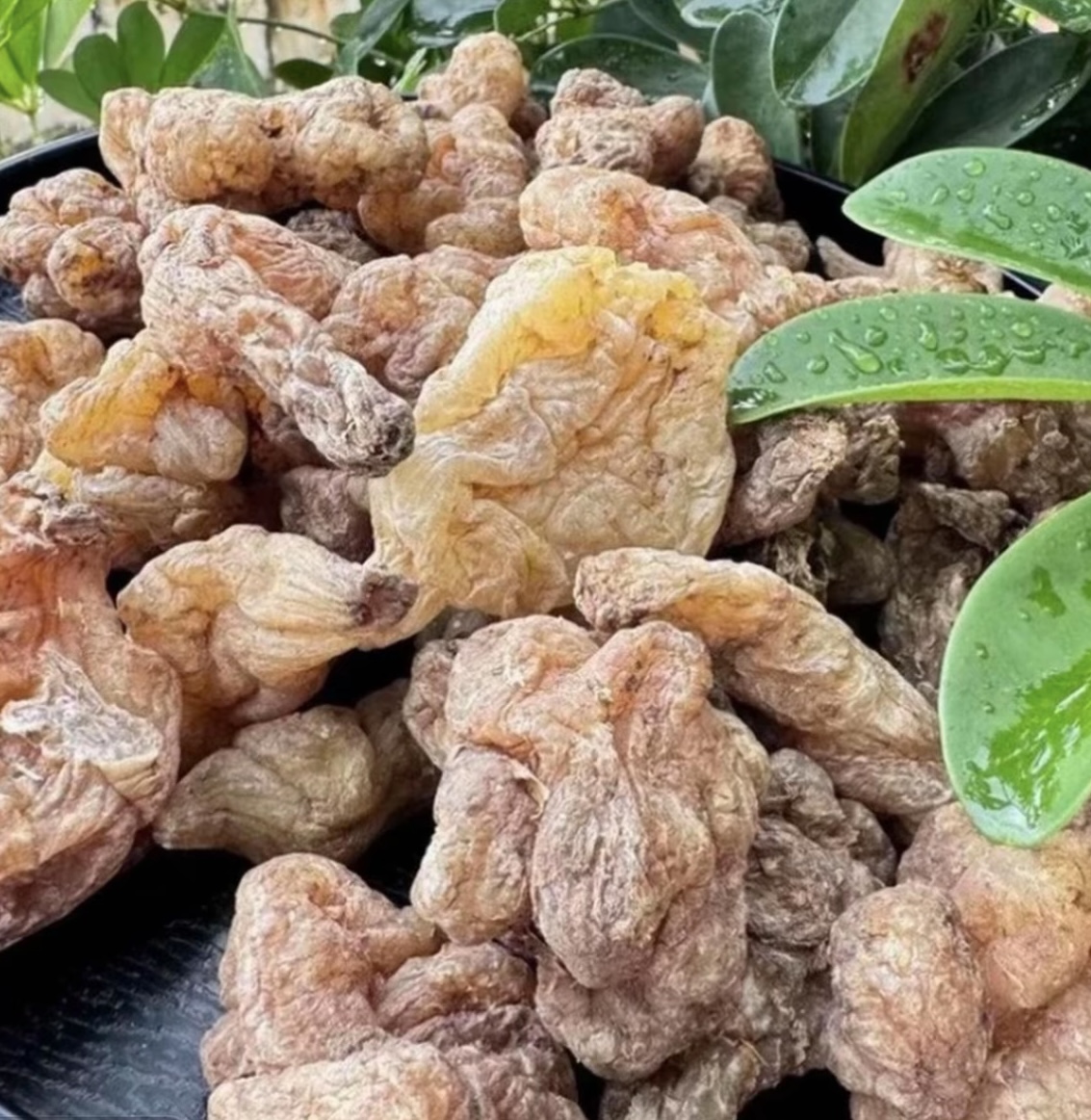 【绍玉专属】~玉精灵   高黎贡山下山货