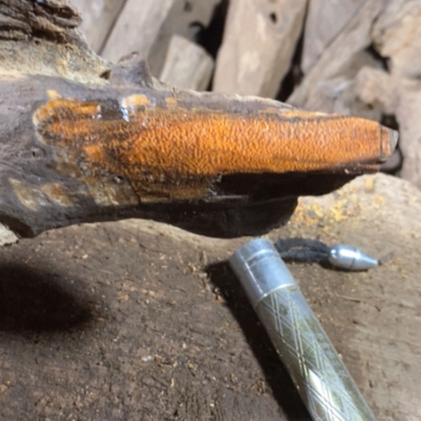 【闪购商品】贡木其他有**得私人订制