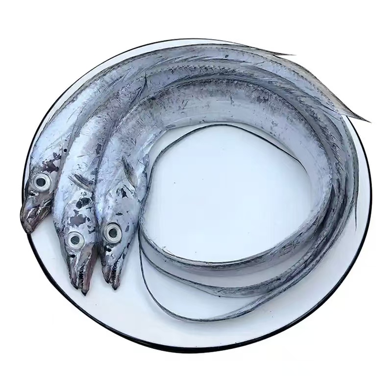 【宠粉福利】大连本地渤海湾刀鱼顺丰冷链运输