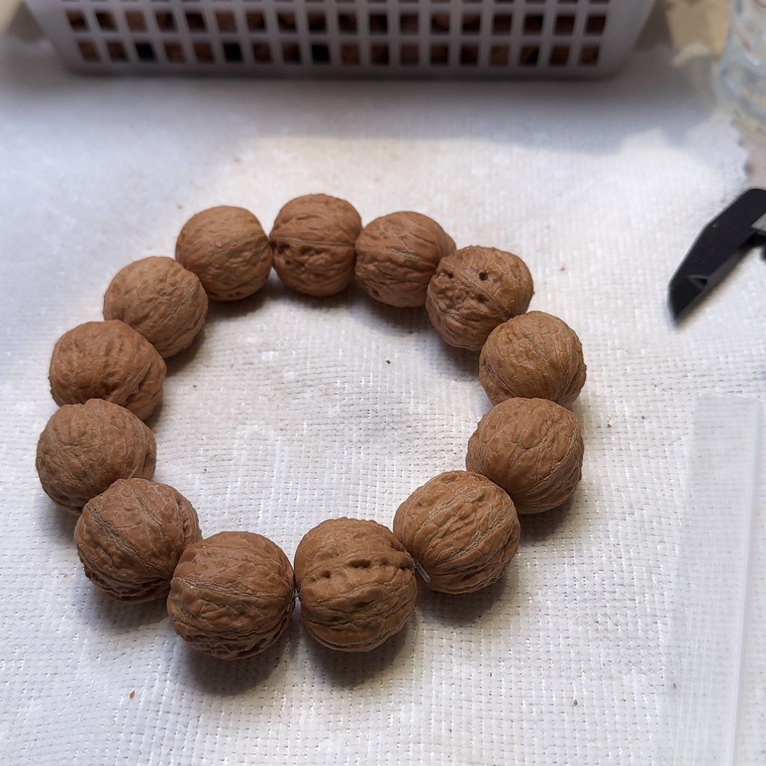 核桃手串/手链23号边24肚26高24