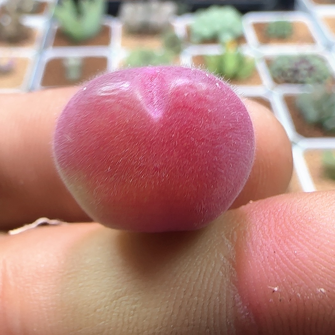 2哈哈哈哈哈哈哈哈672