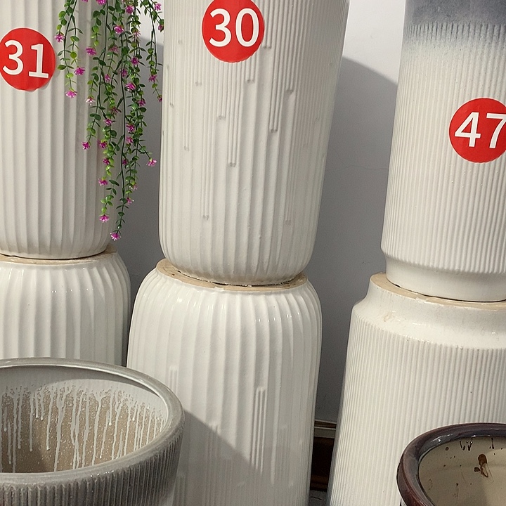 套二白音符大中一套送托盘默认微瑕