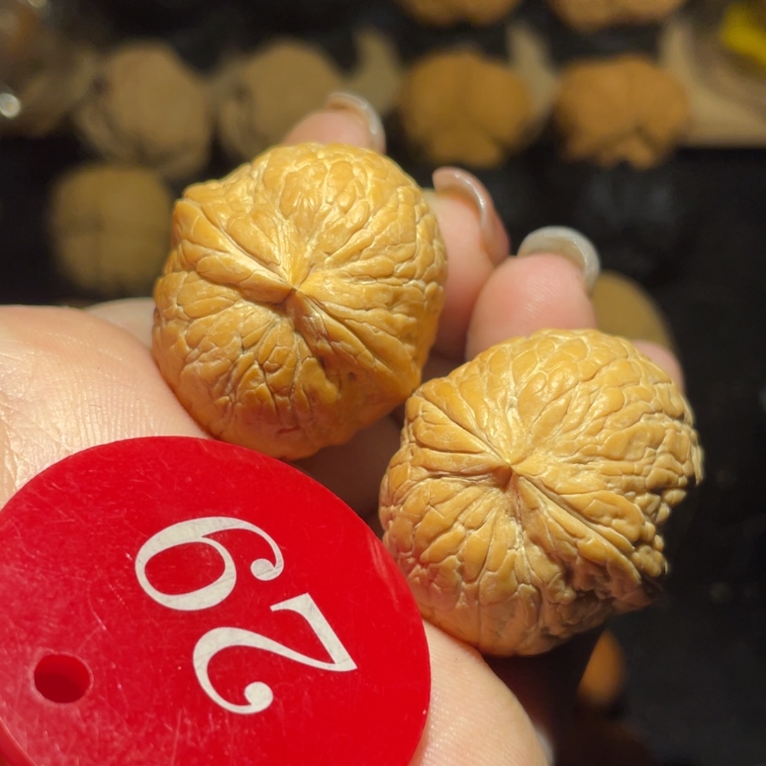 大西瓜31尺寸核桃