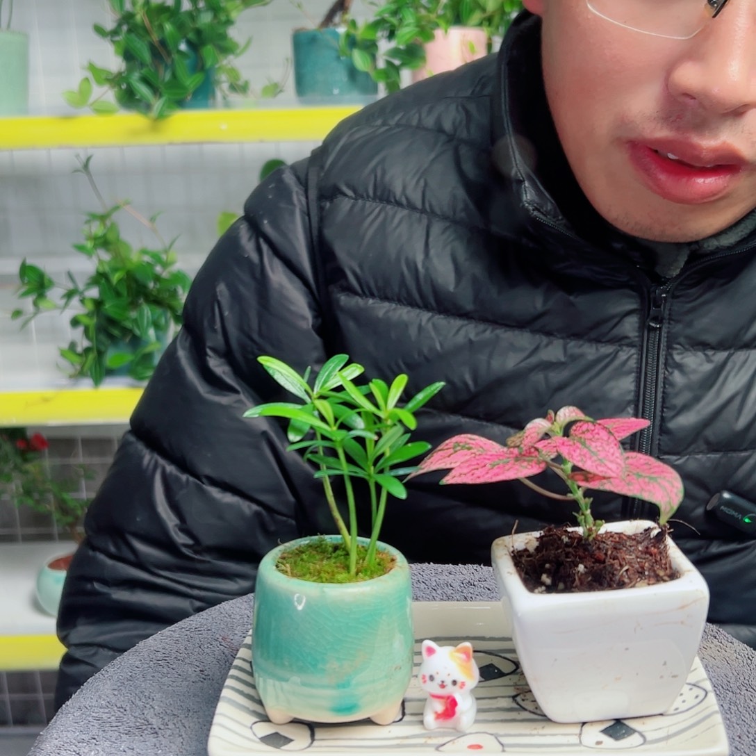 想***我无花朵17                    