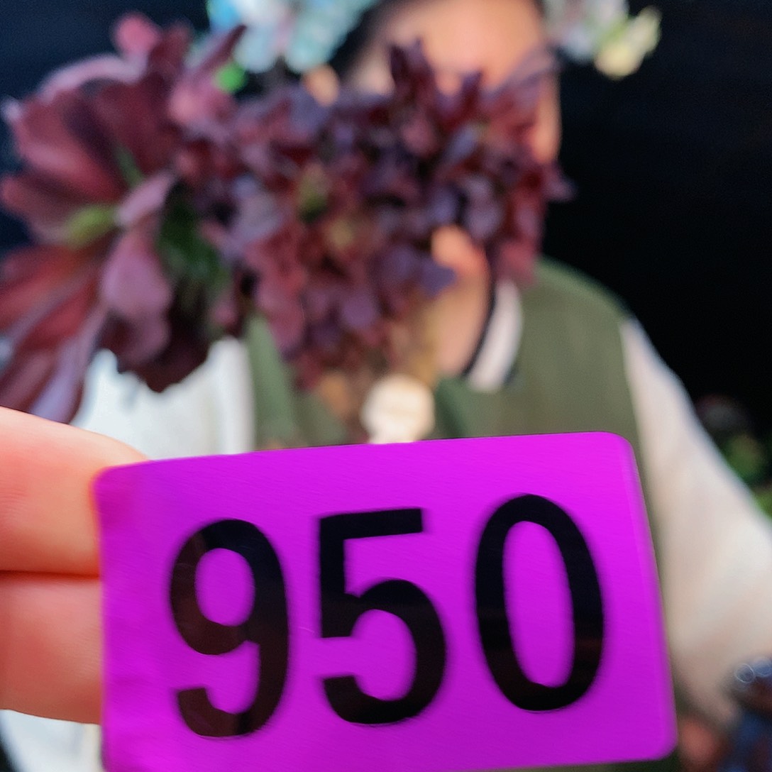 ssssssssssssssssssssss950