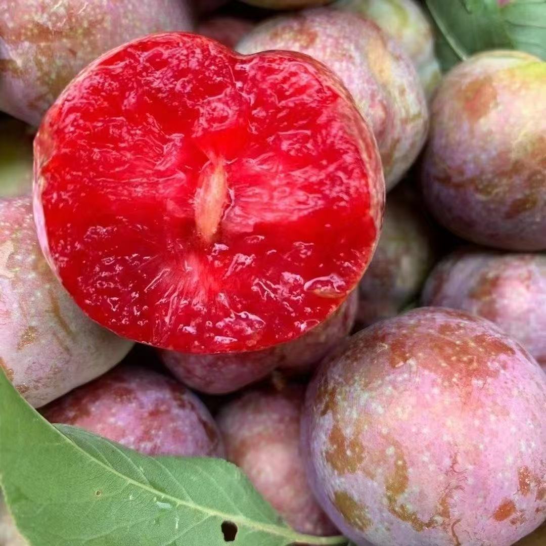 （到手5斤）新鲜采摘正宗钱排银妃三华李酸脆爽口