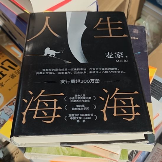 人生海海（务必塑封）库存书