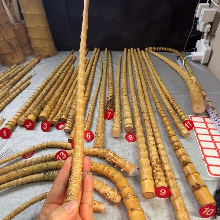 扇子苦竹烟杆毛料