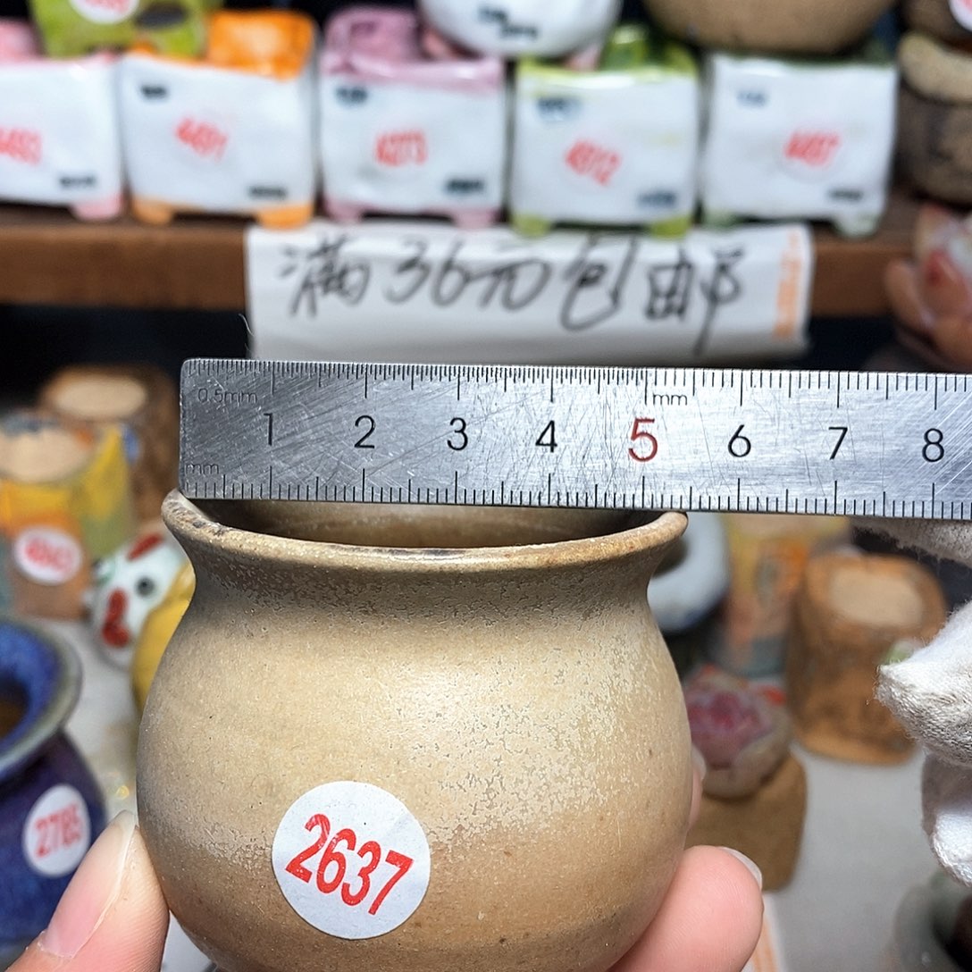 红陶拍5送一个小