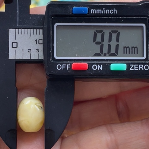 【闪购商品】未镶嵌蜜蜡裸石流**雪14杂