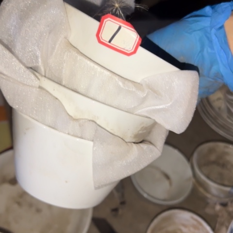 瓷片国营厂库存微瑕11厘米1