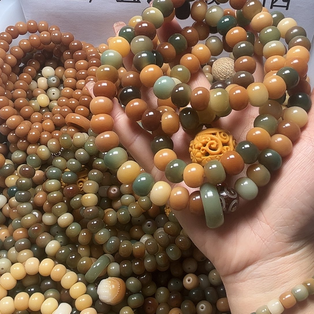 吊坠菩提根/象牙果