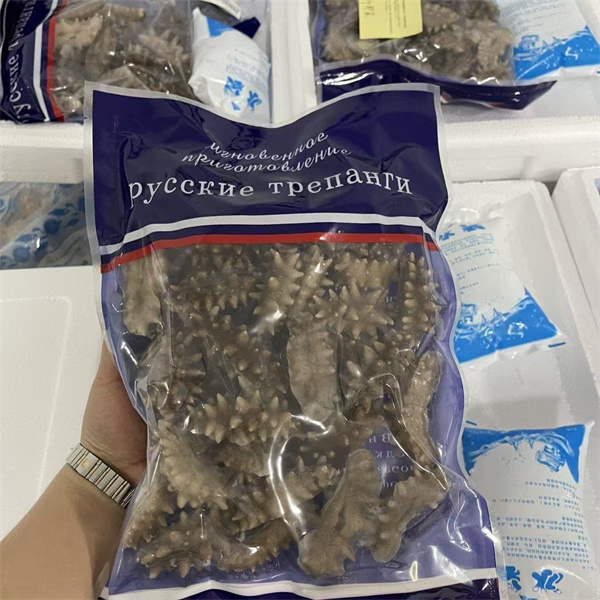 俄罗斯海参 即食海参 一包一斤 20-30头 6排刺海参 即食海参