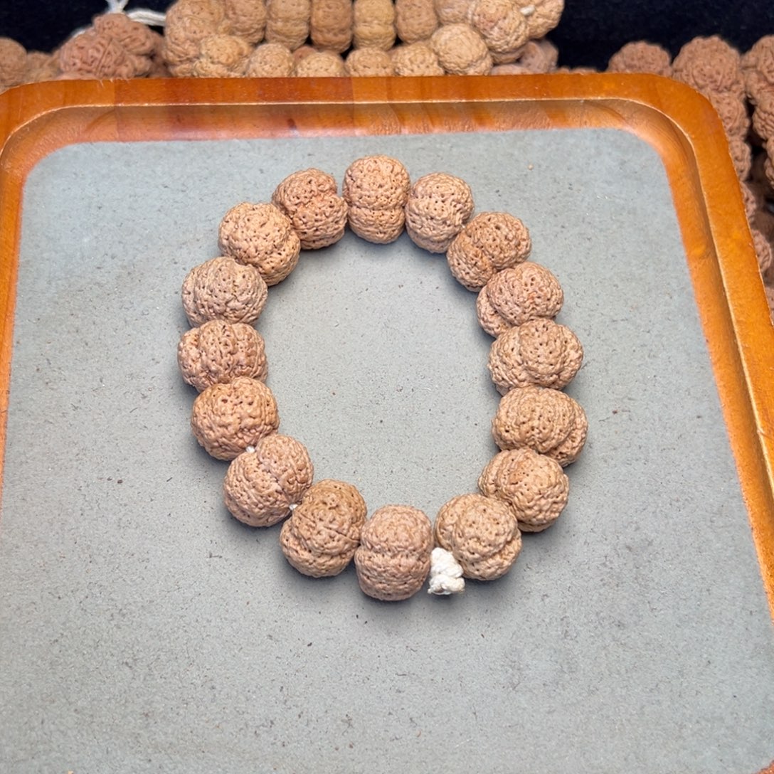 菩提21号金刚菩提菠萝蜜21+