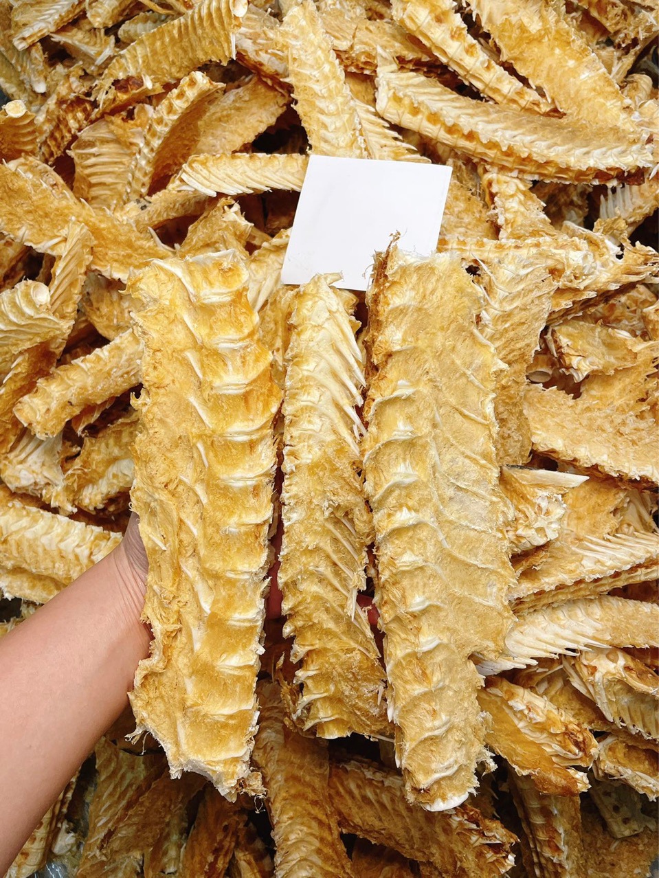 鳕鱼骨 大骨 煲汤补钙