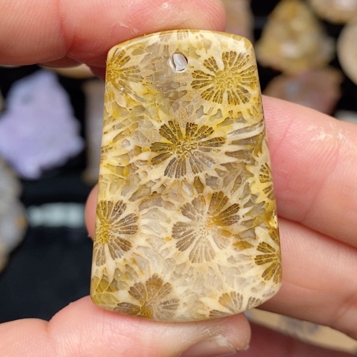 硅化珊瑚（珊瑚玉）手镯未镶嵌