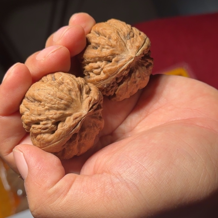 把件文玩核桃1025号全品霸王龙40mm以下