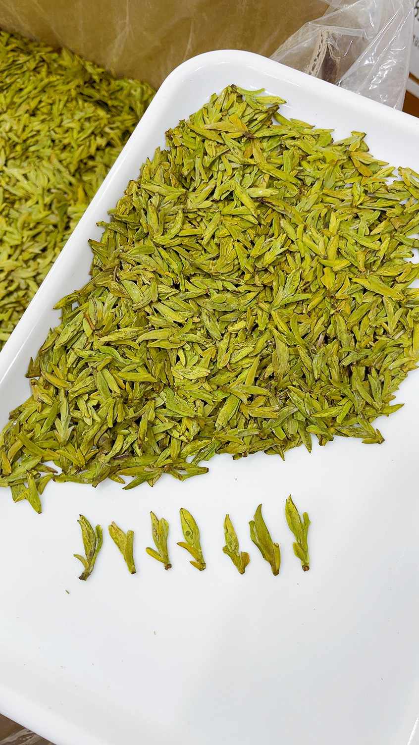 5.5.0新茶新昌浓香龙井！豆香馥郁！沙口！耐泡