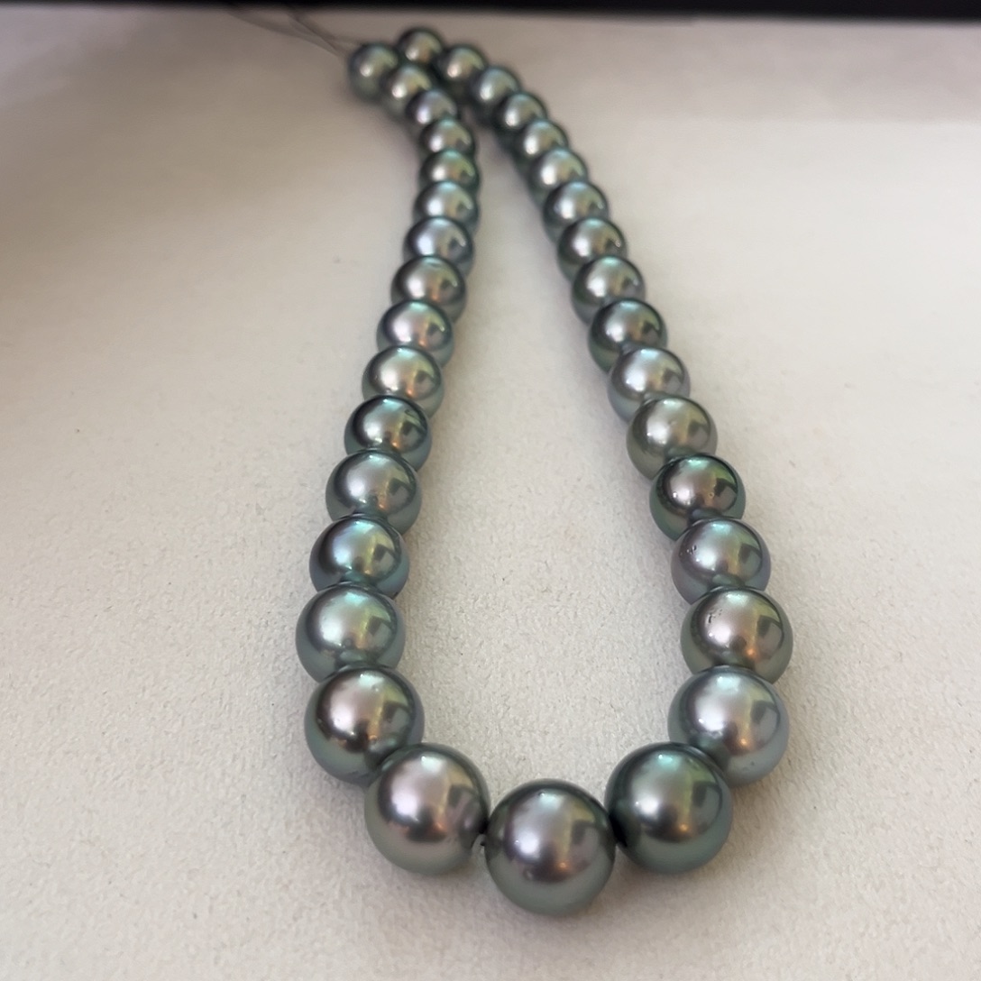 未镶嵌颈饰海水珍珠铂金灰海洋蓝11-13.