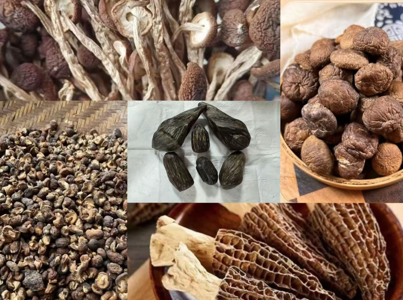 沉X（山货代拍羊肚菌链接）