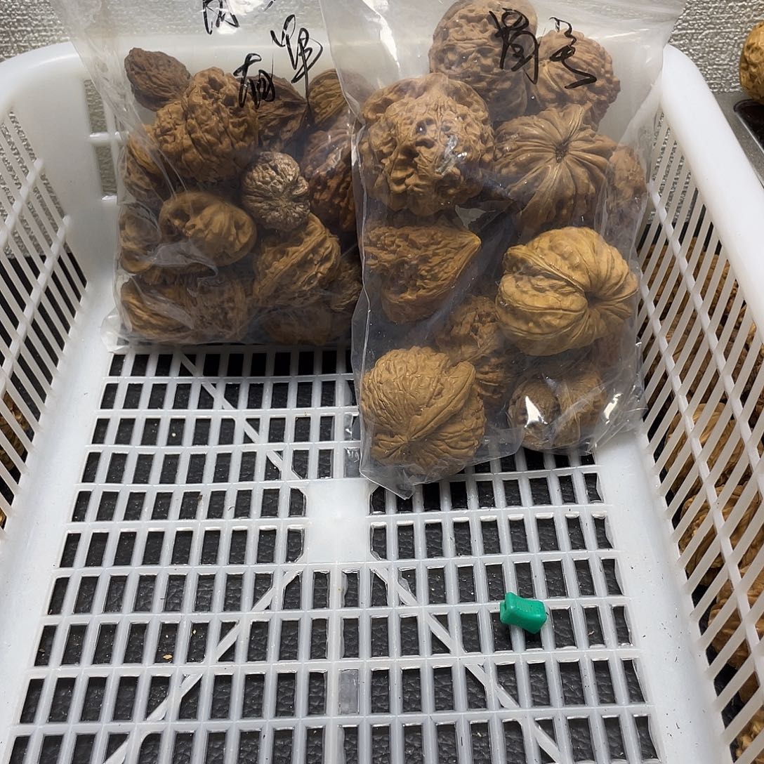 ￴***吊坠文玩核桃不退不换