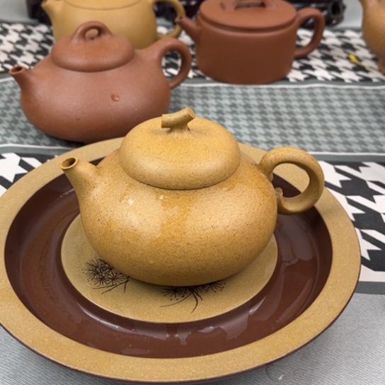 黄段茄瓜容量二百二