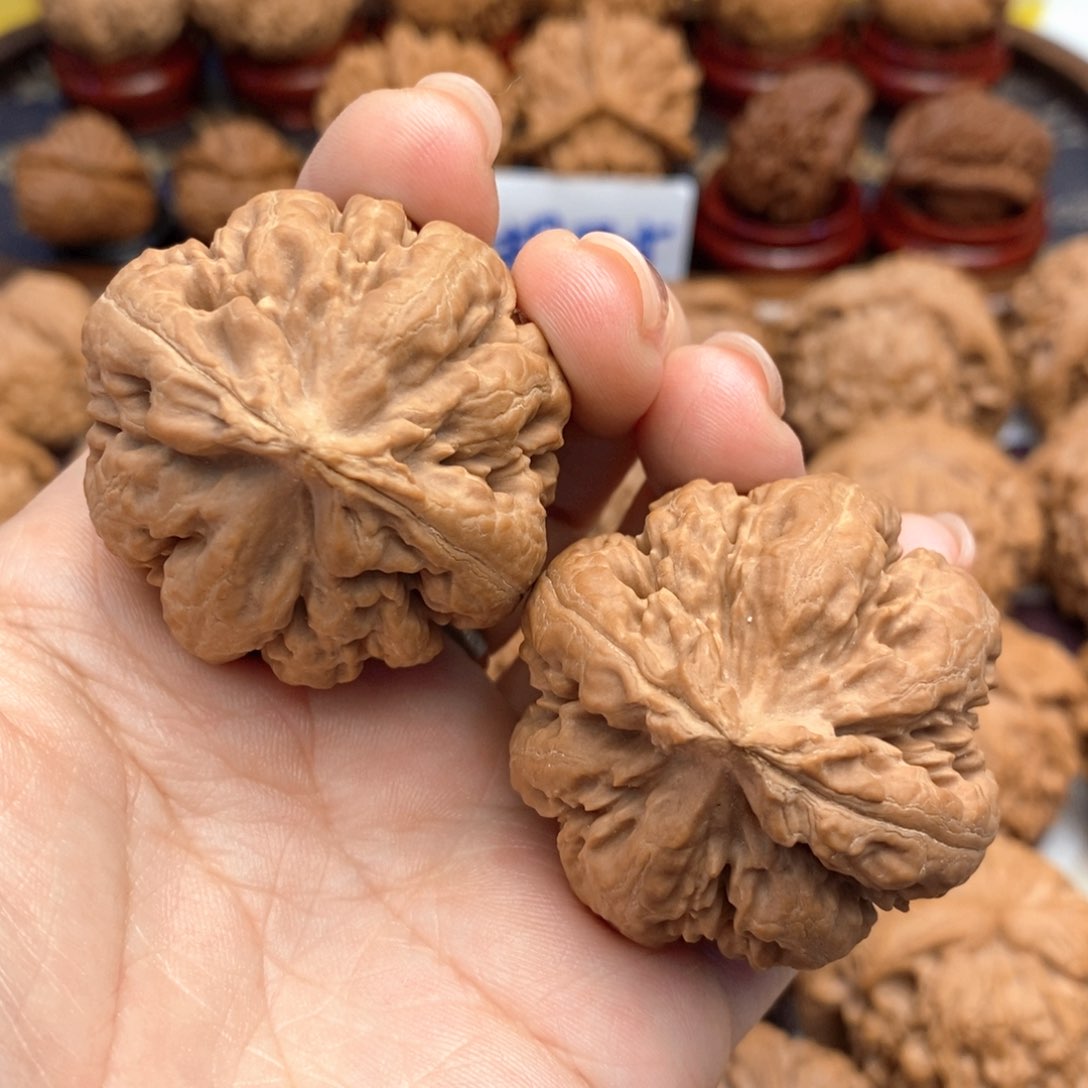 【闪购商品】文玩核桃把件42尺全品霸王龙