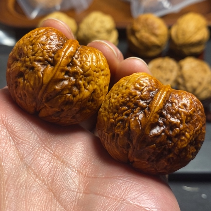 文玩核桃把件37尺寿星头元宝