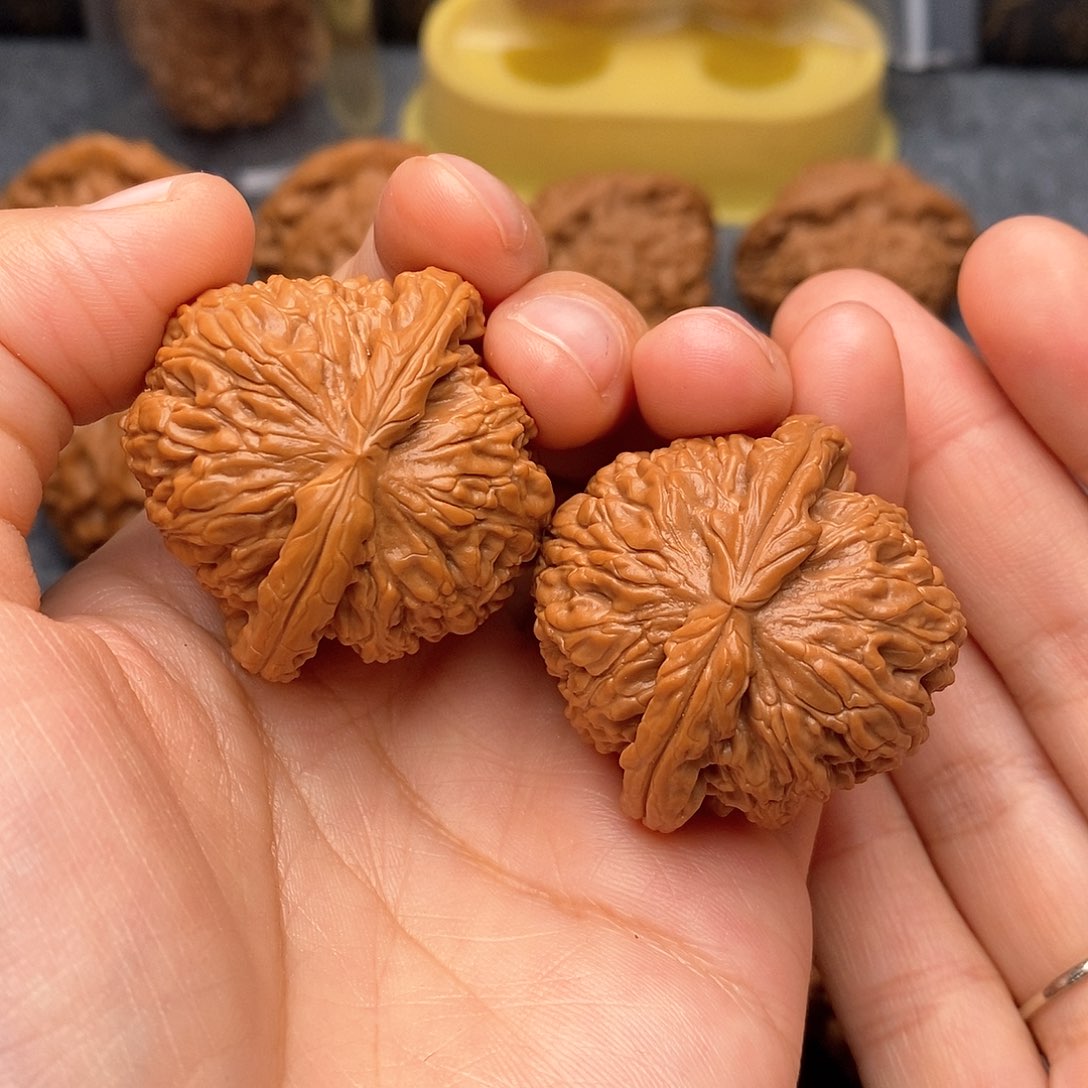 文玩核桃把件苗**、白狮子39全品