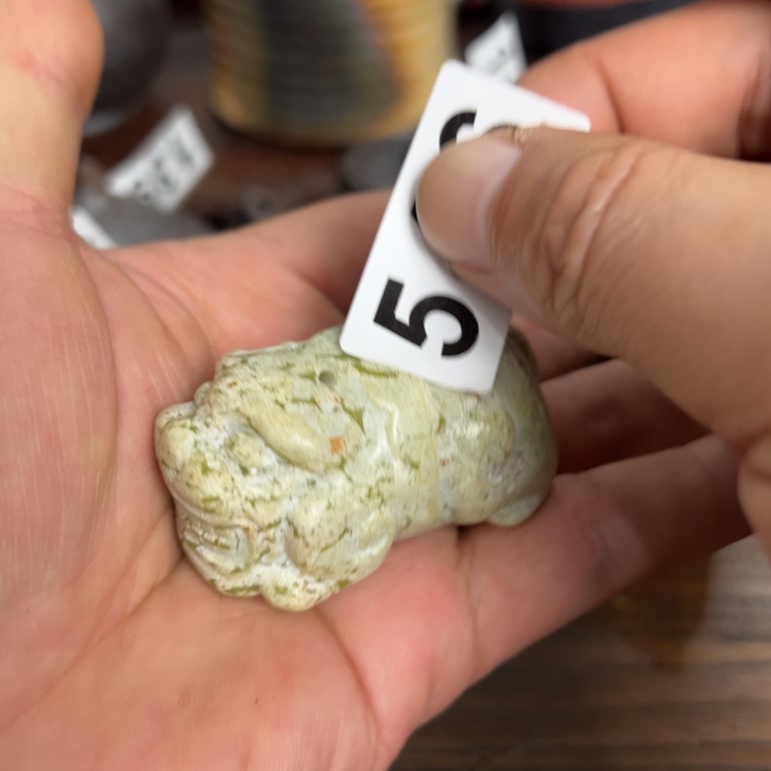 546茶宠哈哈哈哈哈哈