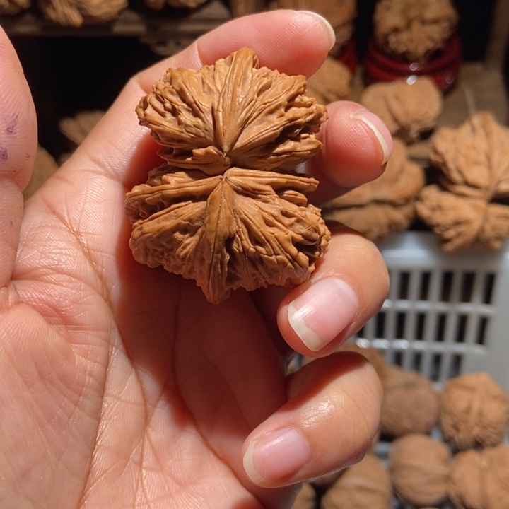 哈***哥核桃白狮子五棱连体尺寸47.5全品