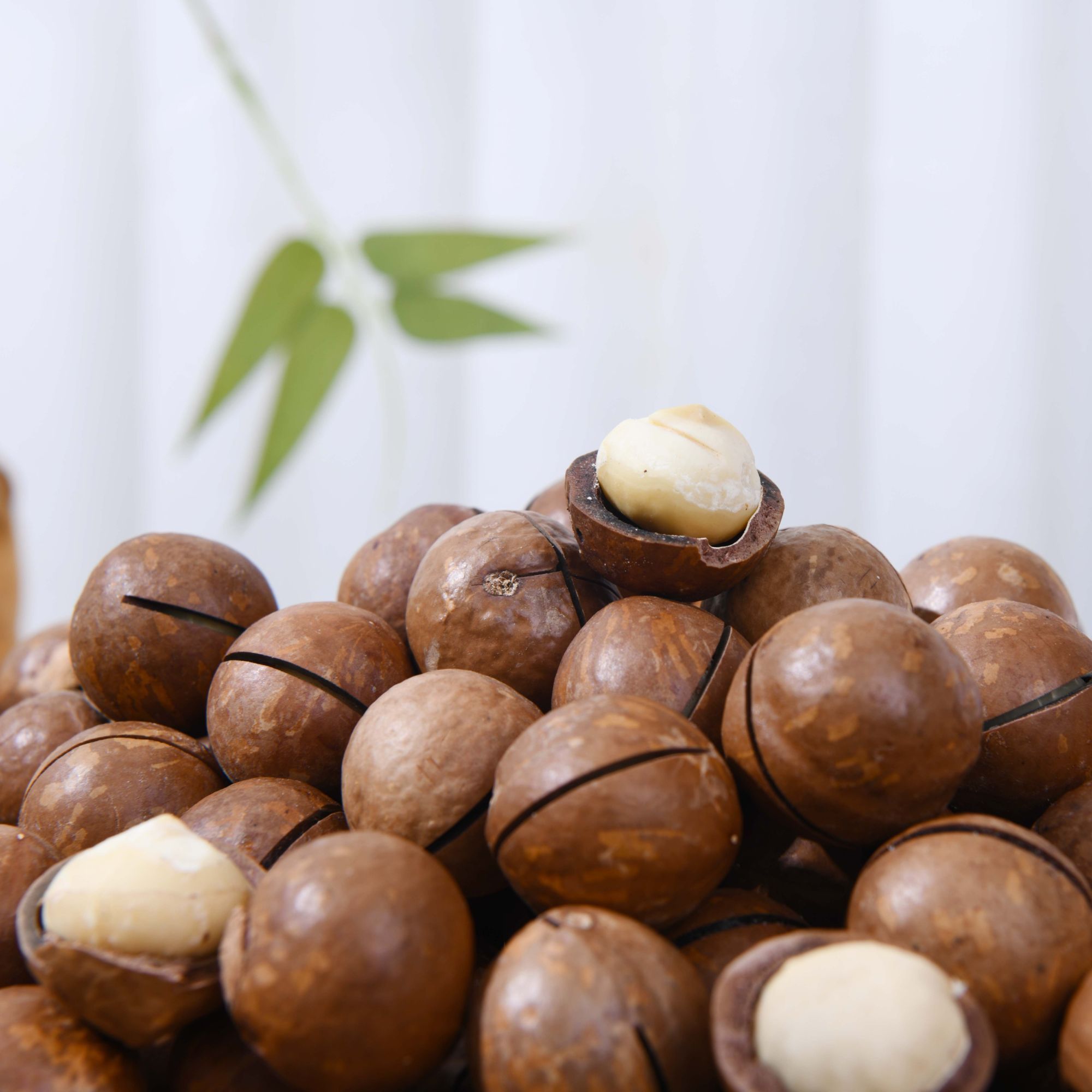 买半斤送半斤袋装夏威夷果奶香酥脆休闲解馋坚果送开口器