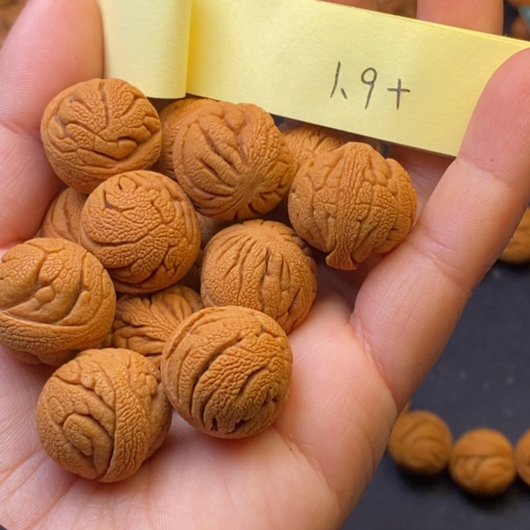 秦岭龙纹桃核14颗