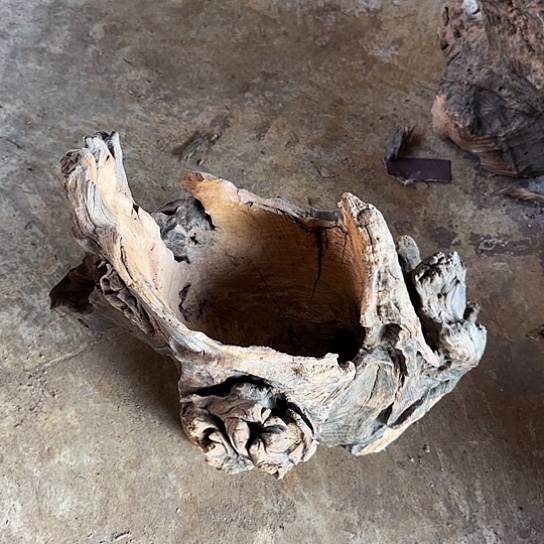 畅**悦紫砂噜啦啦啦啦啦啦