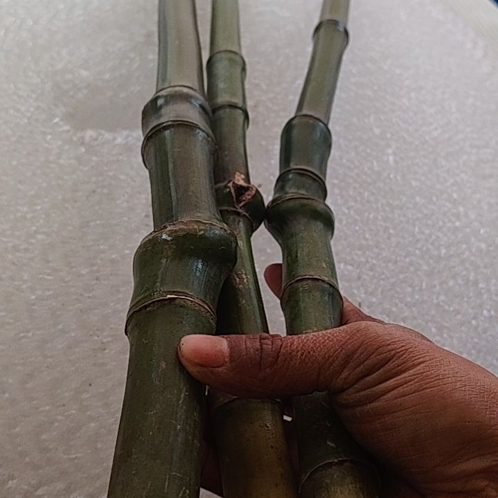 阿***兄dddddd发dddddddddd