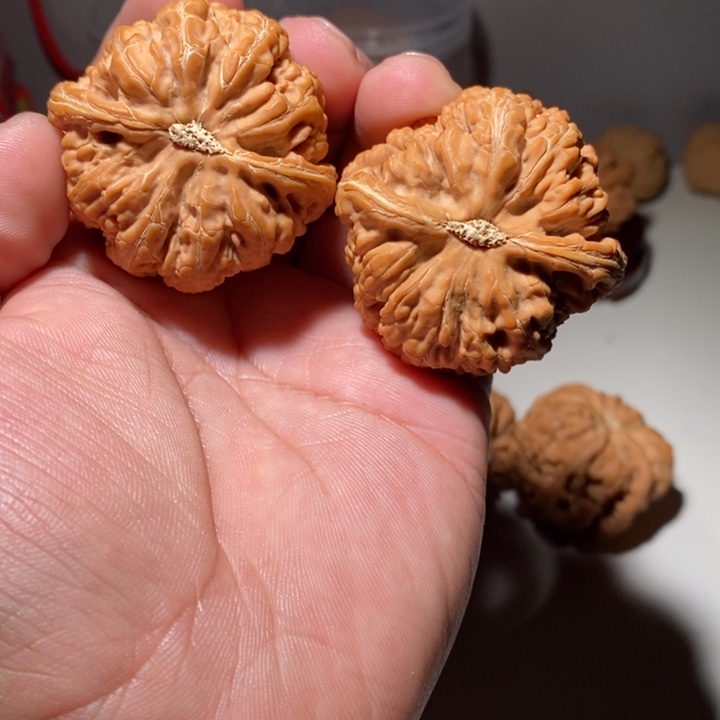 恭**财文玩核桃大粗筋核桃